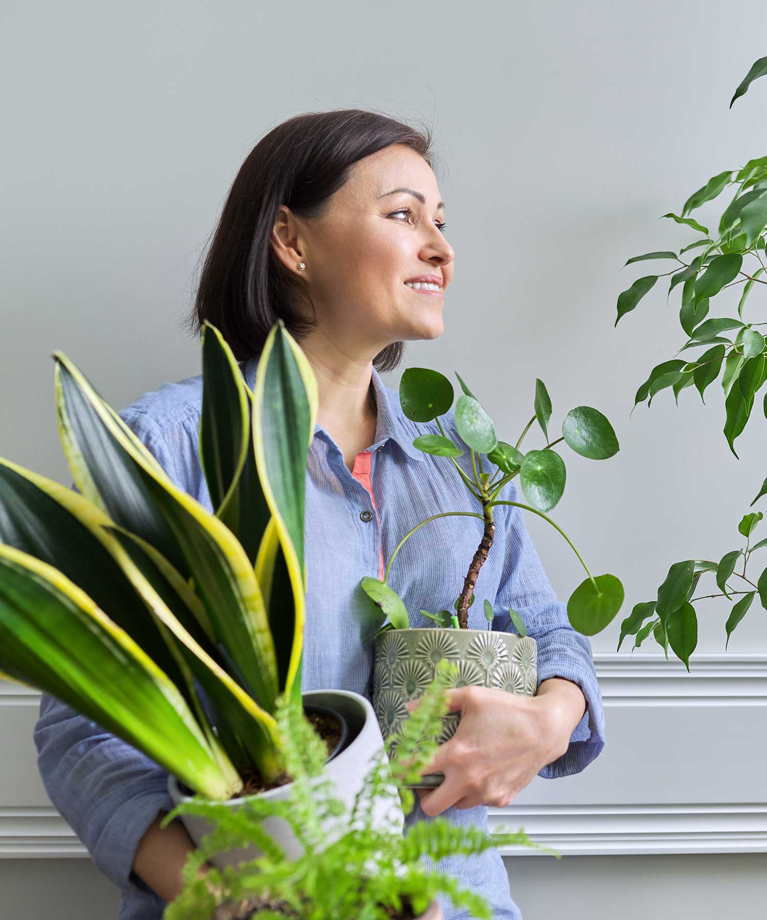 Green With Envy Indoor Plant Hire